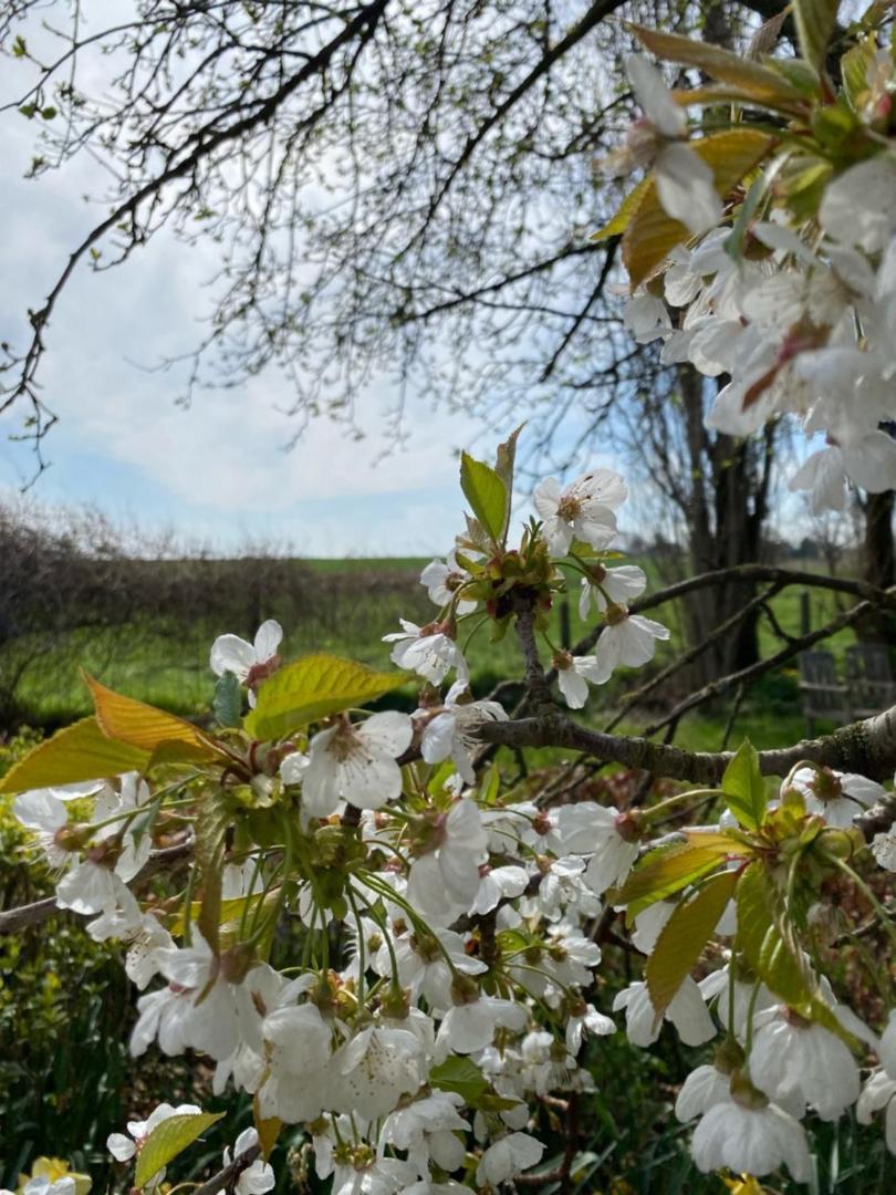 Villa De Zwarte Stok Riemst Esterno foto
