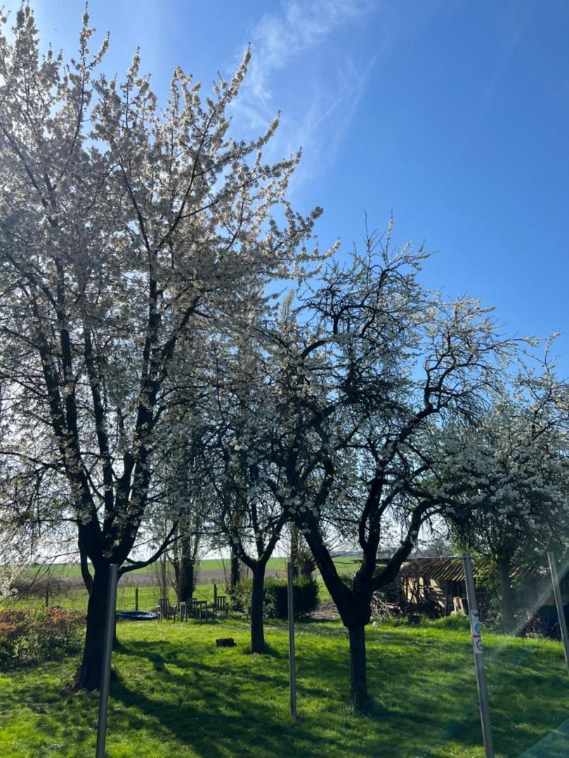 Villa De Zwarte Stok Riemst Esterno foto