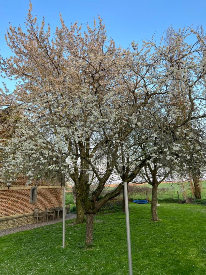 Villa De Zwarte Stok Riemst Esterno foto