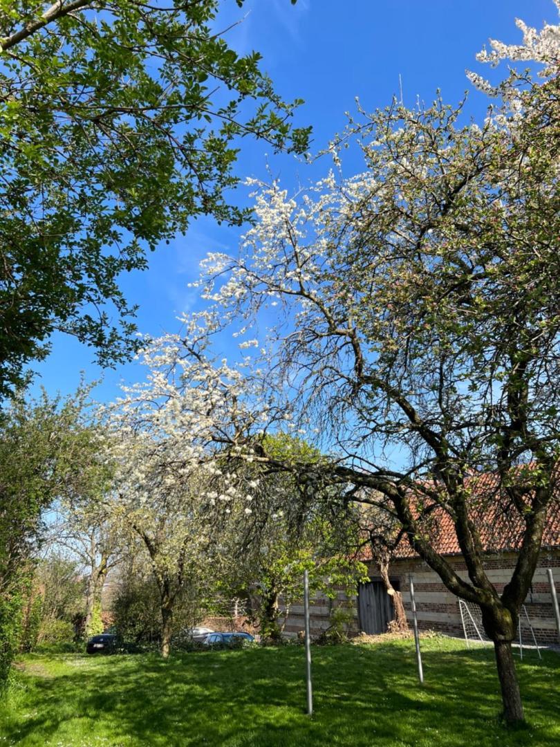 Villa De Zwarte Stok Riemst Esterno foto